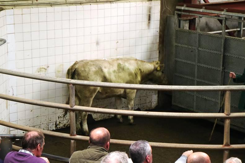 More stability in the trade at Balla mart