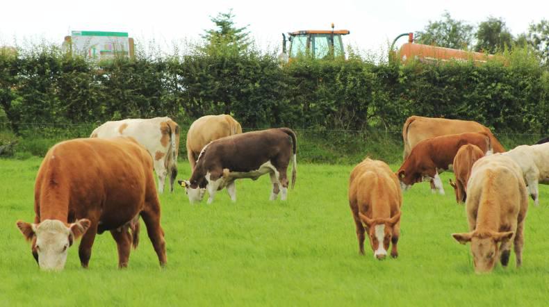 Getting the basics right on Co Donegal farm Getting the basics right on Co Donegal farm
