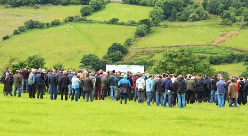 Getting the basics right on Co Donegal farm Getting the basics right on Co Donegal farm
