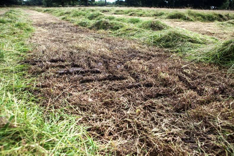 Silage suffers as wet weather continues Silage suffers as wet weather continues