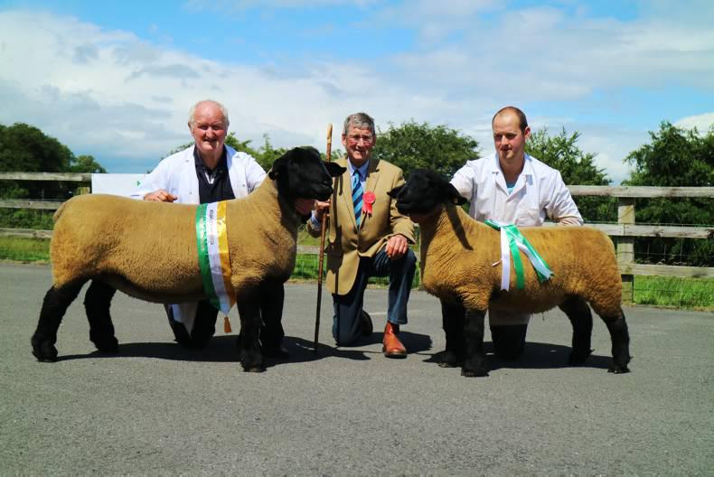Flock focus: a lifetime of breeding Flock focus: a lifetime of breeding