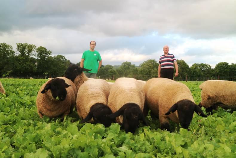 Flock focus: a lifetime of breeding Flock focus: a lifetime of breeding