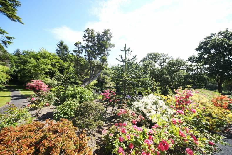 Majestic Massbrook House, Co Mayo Premium