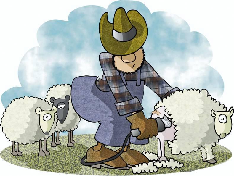 Maura McElhone: A shear spectacle Maura McElhone: A shear spectacle