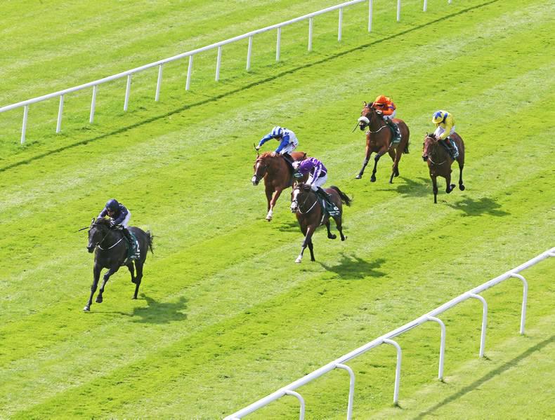 O'Brien rates Caravaggio as his fastest horse ever O'Brien rates Caravaggio as his fastest horse ever