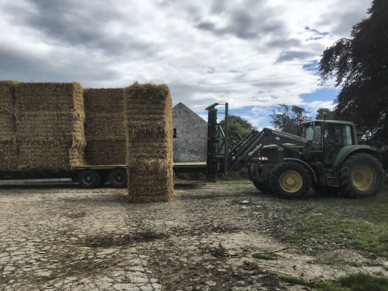 Farmer Writes: quad missing in action Farmer Writes: quad missing in action