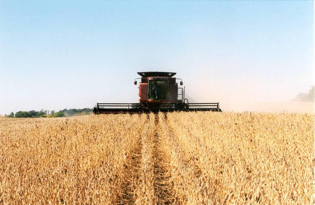 A defining year for the tillage sector
A defining year for the tillage sector