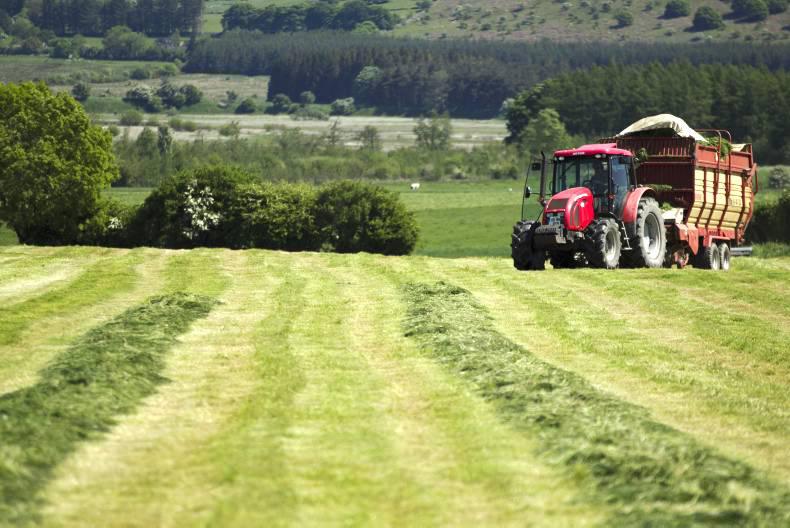 Weekly weather: sunny spells to start but unsettled by the end of the week Weekly weather: sunny spells to start but unsettled by the end of the week