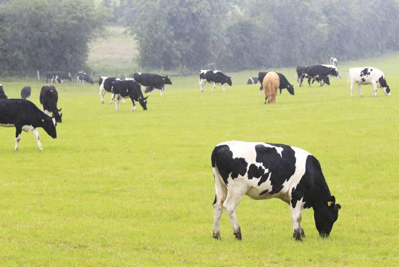 Weekly weather: changeable and unsettled weather continuing Weekly weather: changeable and unsettled weather continuing