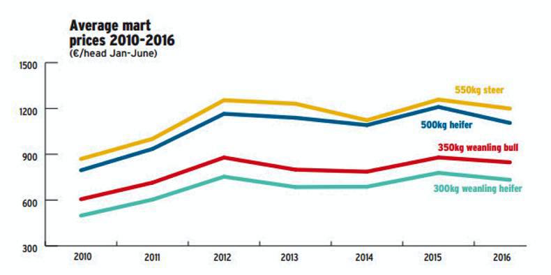 Average mart prices back 10 to 15c/kg
Average mart prices back 10 to 15c/kg