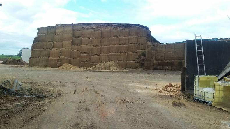 British dairying in recovery mode British dairying in recovery mode