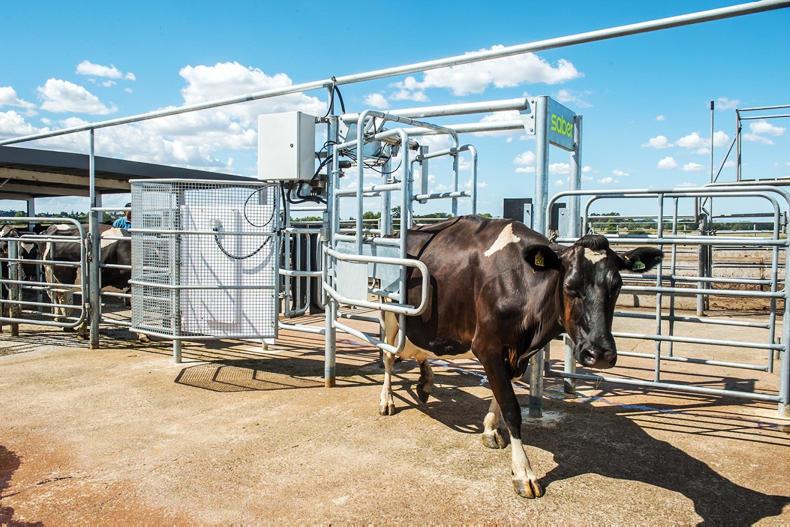 Advisers from all over Europe at Eurogene Advisers from all over Europe at Eurogene