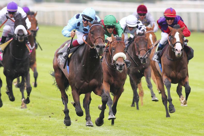 Irish Champions Weekend- the zenith of the domestic turf season Irish Champions Weekend- the zenith of the domestic turf season