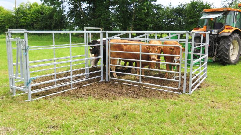 Making cattle handling a tractor-portable solution Making cattle handling a tractor-portable solution
