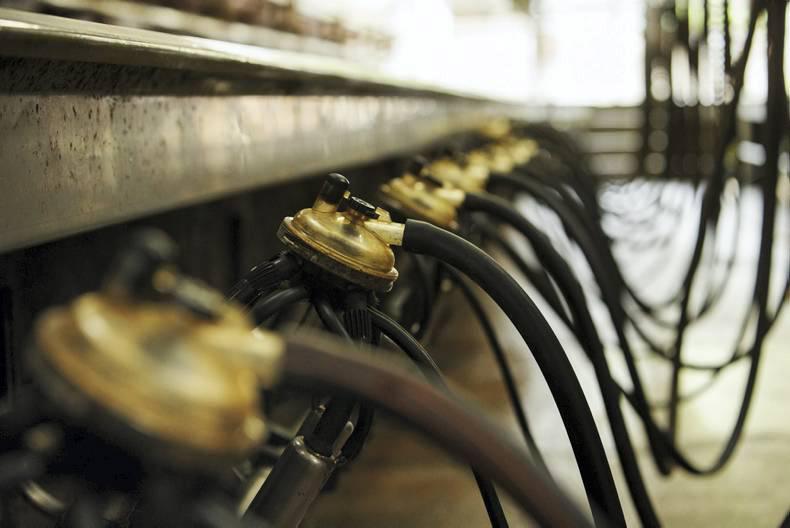 IFA news and activities this week IFA news and activities this week