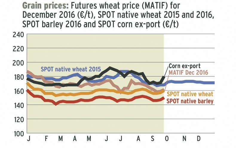 Grain trends: Markets to come under pressure from US harvest Grain trends: Markets to come under pressure from US harvest