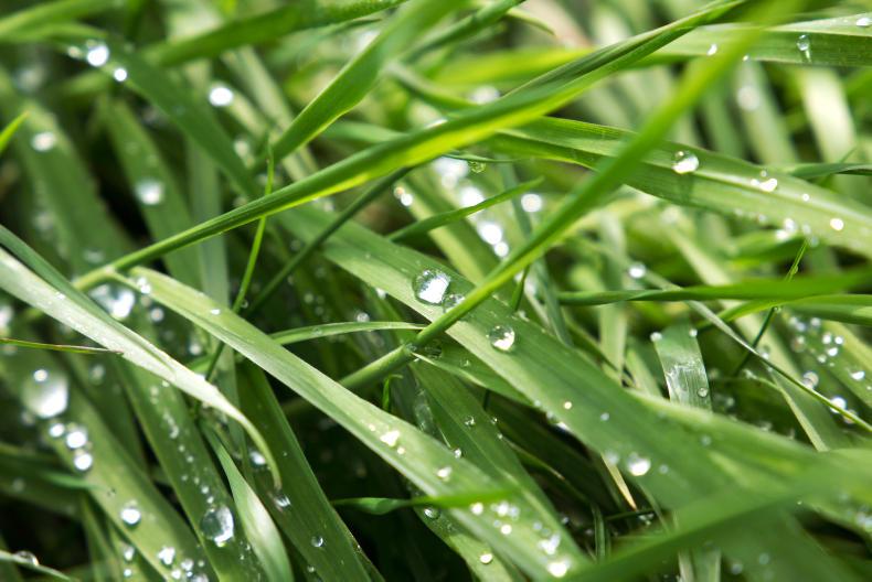 The latest agri jobs in Ireland The latest agri jobs in Ireland