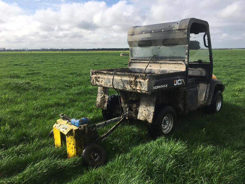 Farmer Writes: End of calving in sight as grass growth takes off Farmer Writes: End of calving in sight as grass growth takes off