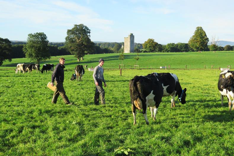 Just 2% of Next Generation Herd empty Just 2% of Next Generation Herd empty
