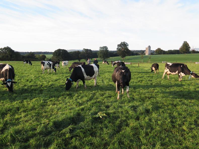 Just 2% of Next Generation Herd empty Just 2% of Next Generation Herd empty