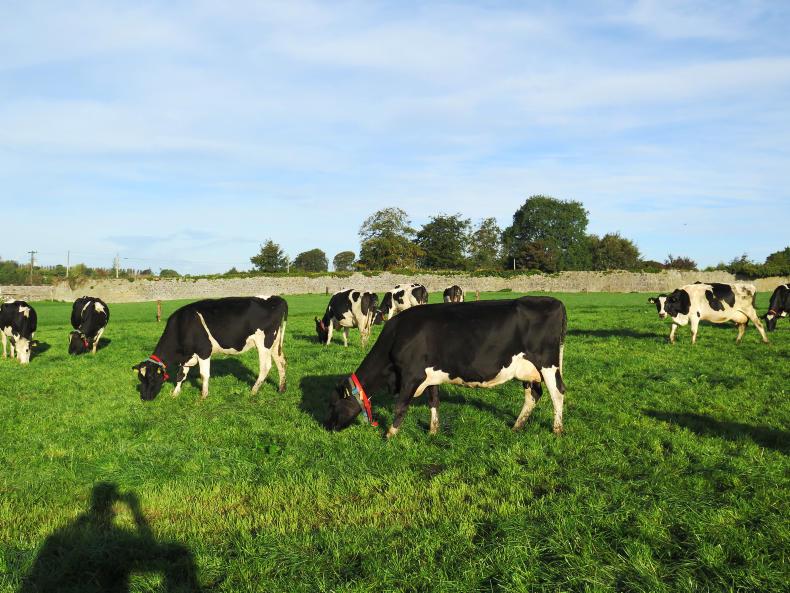 Just 2% of Next Generation Herd empty Just 2% of Next Generation Herd empty