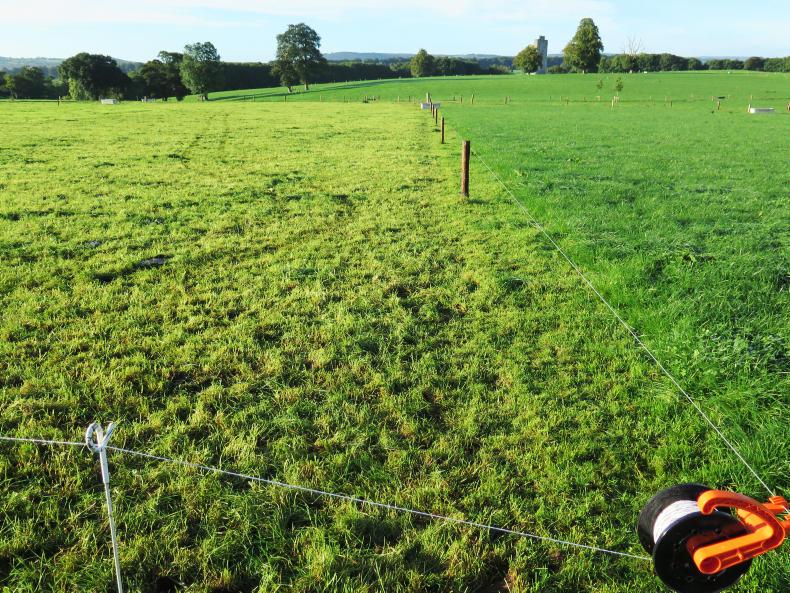 Just 2% of Next Generation Herd empty Just 2% of Next Generation Herd empty