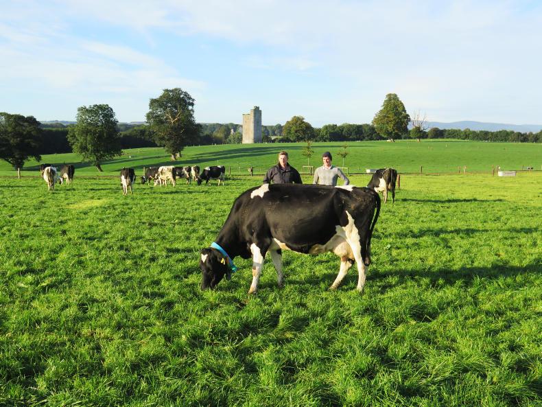 Just 2% of Next Generation Herd empty Just 2% of Next Generation Herd empty