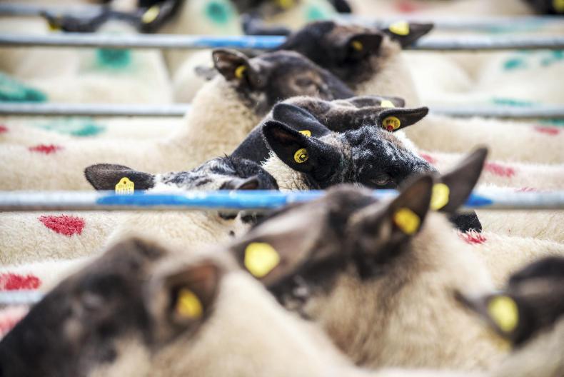 Drop in CSO agricultural input price index Drop in CSO agricultural input price index