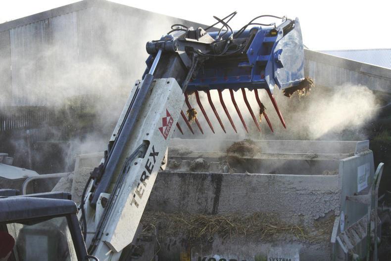 The shear edge of safety this year 