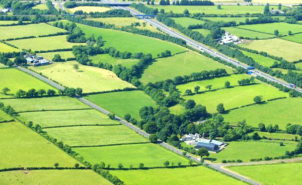 Grass+ beef: How much grass should I have this week? Grass+ beef: How much grass should I have this week?