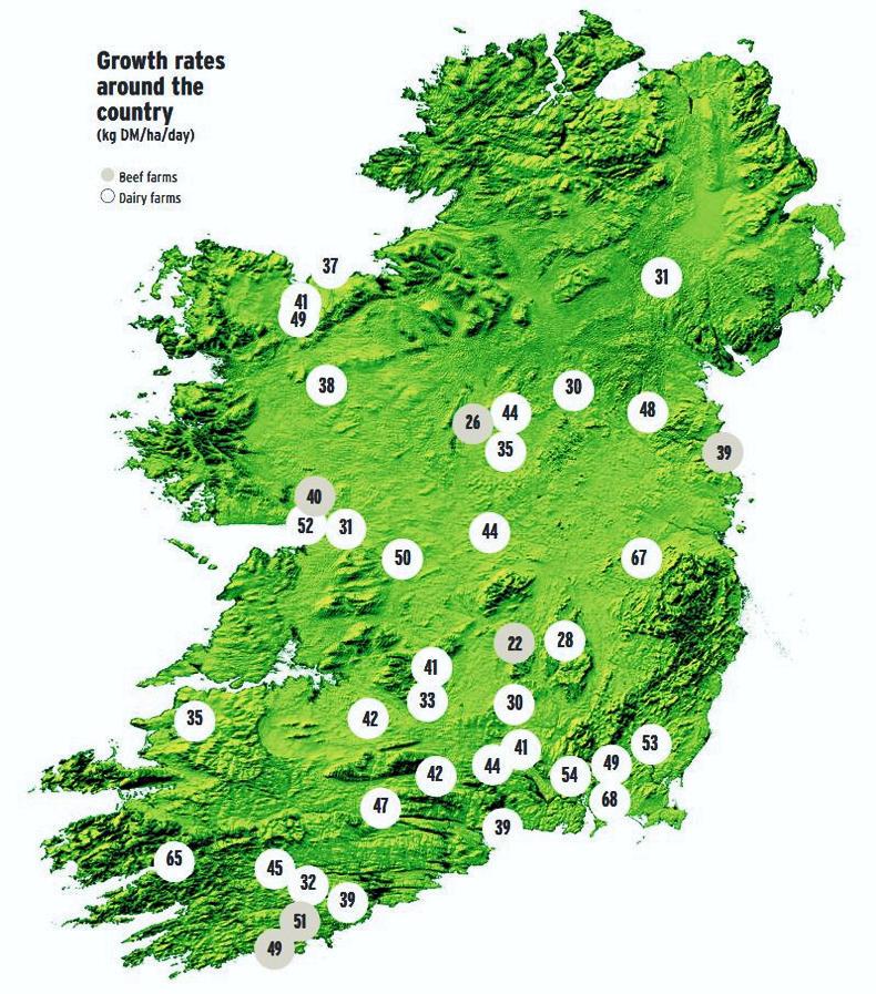 Grass+ beef: How much grass should I have this week? Grass+ beef: How much grass should I have this week?