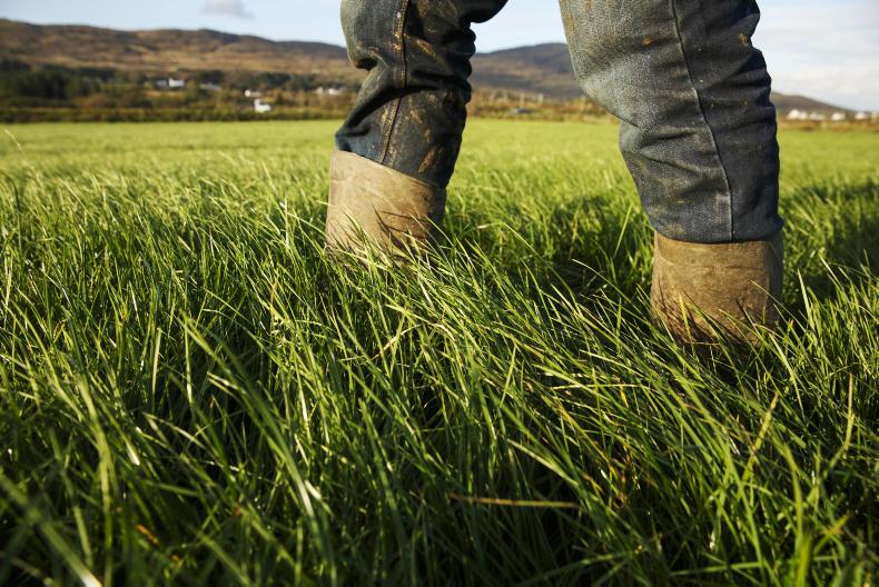 Weekly weather: mostly settled conditions for the days ahead Weekly weather: mostly settled conditions for the days ahead