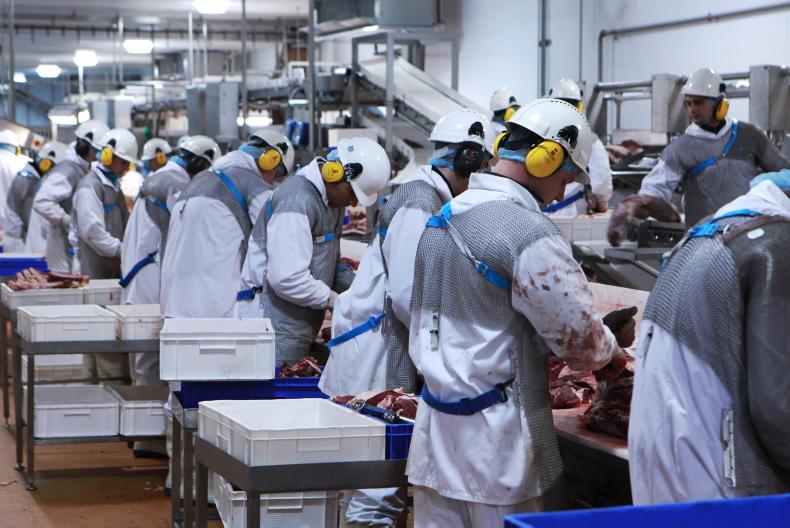 Abp Slaughter Irish Farmers Journal – For the Latest Farming News in Ireland