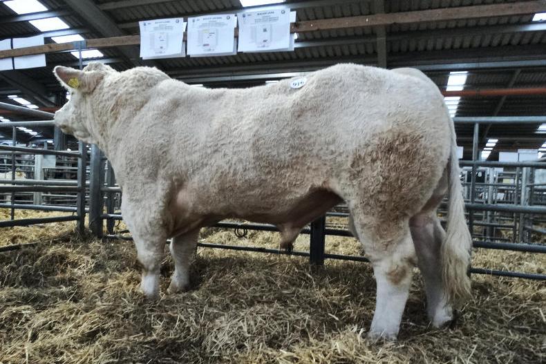 Blelack walk away with over 800,000gns Blelack walk away with over 800,000gns