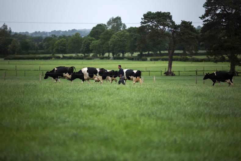 Dairy trends: GDT bounces back slightly after latest auction Dairy trends: GDT bounces back slightly after latest auction