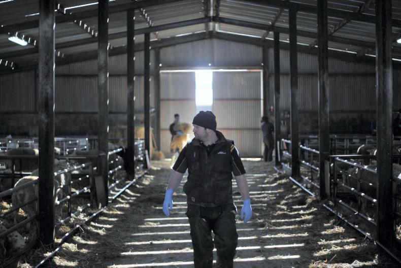 Autumn grazing plan essential Autumn grazing plan essential