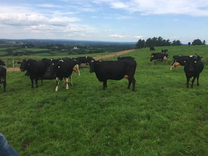 Dairy management notes for this week Dairy management notes for this week