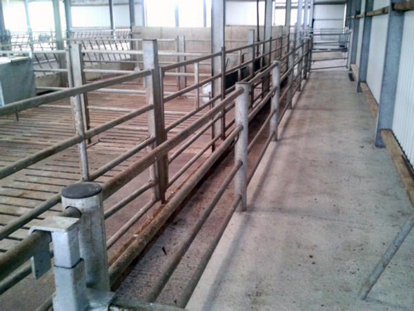 Garavelli-linked firm enters meat business Garavelli-linked firm enters meat business