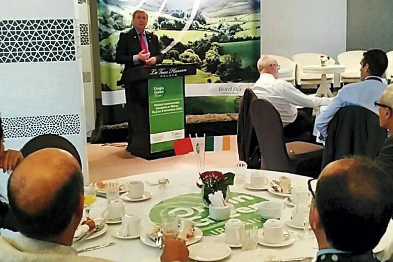 Creed sets eyes on north African markets for sheepmeat exports
Creed sets eyes on north African markets for sheepmeat exports