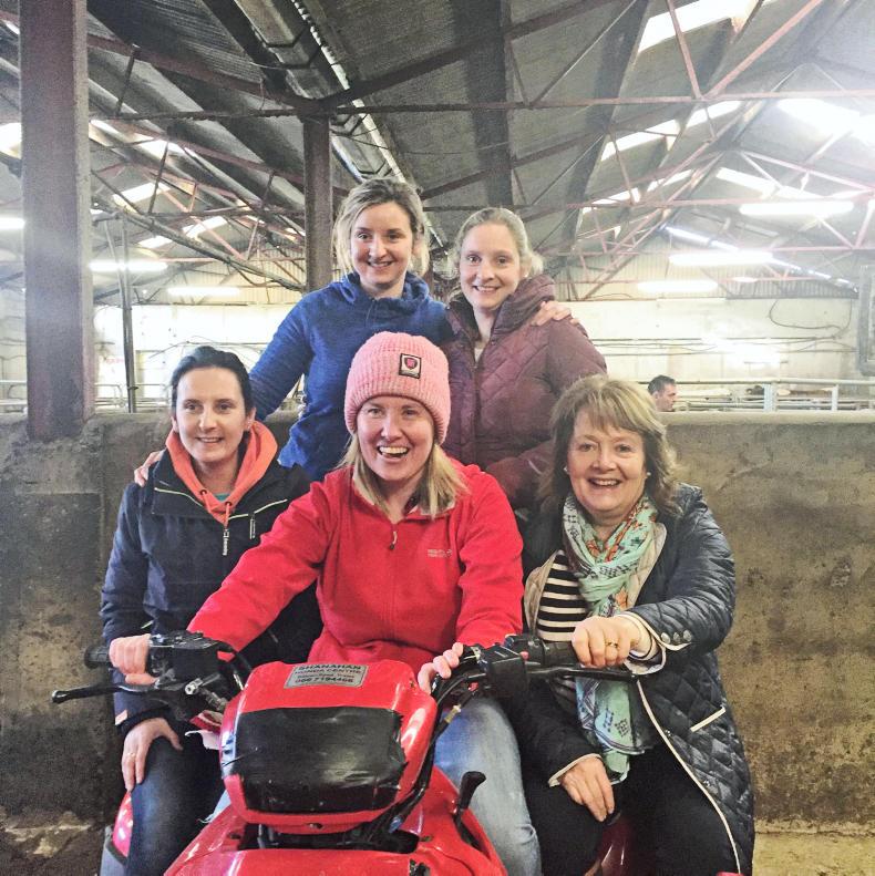 It’s better to light a candle than curse the dark It’s better to light a candle than curse the dark