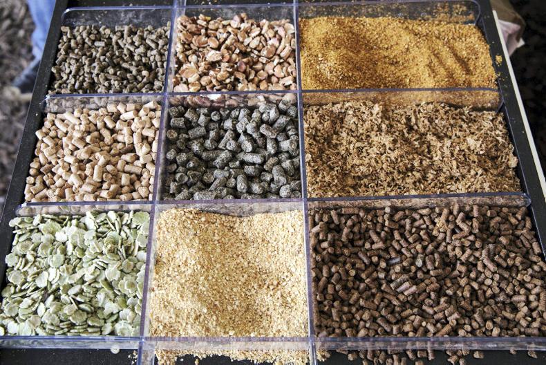 Beef feed prices hit as high as €290/t Beef feed prices hit as high as €290/t