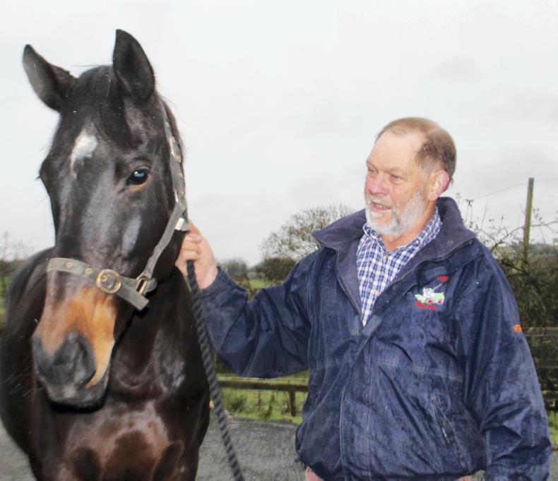 NEWS REVIEW 2016 Change in the equestrian air during 2016 Premium