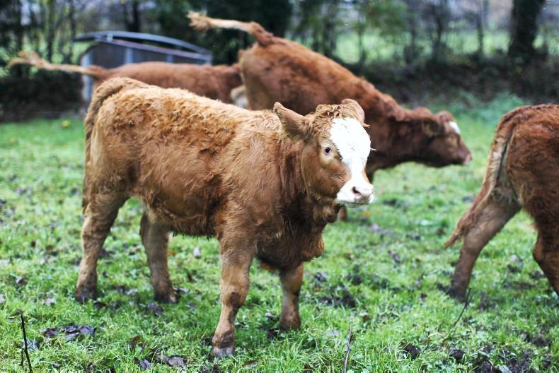 Another step on long march to China Another step on long march to China