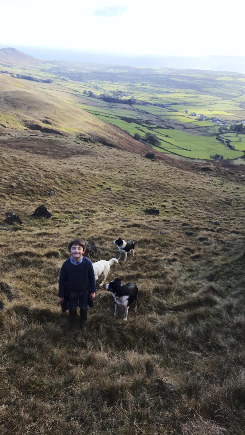 Rory Ruttledge Around the country in pictures this week