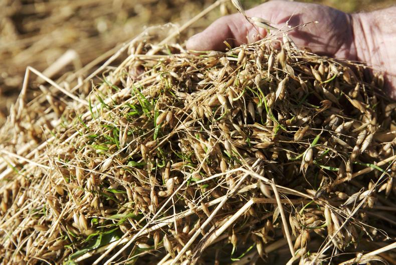 Straw beginning to worry farmers Straw beginning to worry farmers