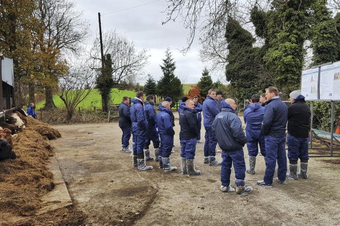 Room to improve performance of NI suckler herd Room to improve performance of NI suckler herd