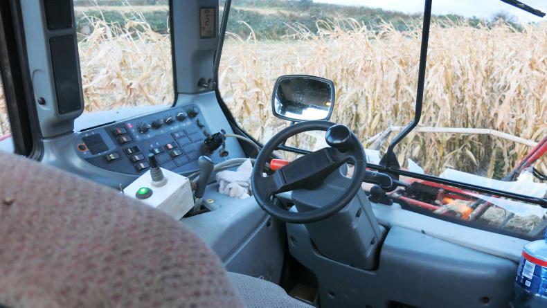 Watch: all about the maize in West Cork Watch: all about the maize in West Cork