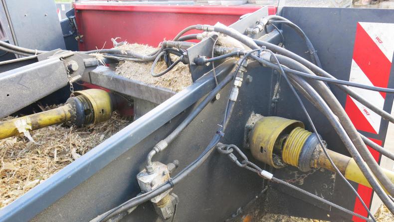 Watch: all about the maize in West Cork Watch: all about the maize in West Cork