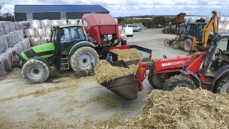 Watch: all about the maize in West Cork Watch: all about the maize in West Cork