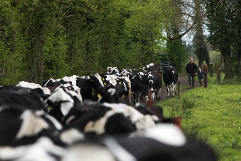 Comer supports Kerry co-op ‘test case’ against Revenue Comer supports Kerry co-op ‘test case’ against Revenue